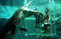 Fauna & Flora: Cage of Death, Crocosaurus Cove