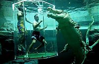 TopRq.com search results: Cage of Death, Crocosaurus Cove