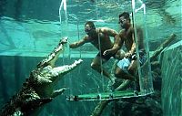 TopRq.com search results: Cage of Death, Crocosaurus Cove