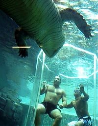 TopRq.com search results: Cage of Death, Crocosaurus Cove