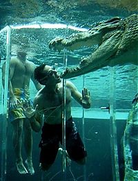 TopRq.com search results: Cage of Death, Crocosaurus Cove