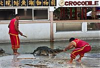 Fauna & Flora: Crocodile show, Million Years Stone Park, Pattaya, Thailand