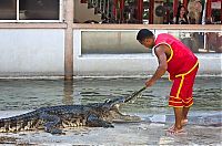 Fauna & Flora: Crocodile show, Million Years Stone Park, Pattaya, Thailand