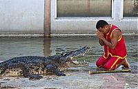 TopRq.com search results: Crocodile show, Million Years Stone Park, Pattaya, Thailand