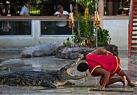 Fauna & Flora: Crocodile show, Million Years Stone Park, Pattaya, Thailand