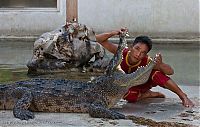 Fauna & Flora: Crocodile show, Million Years Stone Park, Pattaya, Thailand