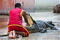 Fauna & Flora: Crocodile show, Million Years Stone Park, Pattaya, Thailand