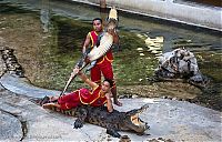 Fauna & Flora: Crocodile show, Million Years Stone Park, Pattaya, Thailand