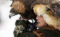 Fauna & Flora: Hunting rabbits with golden eagles, Kazakhstan