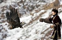 Fauna & Flora: Hunting rabbits with golden eagles, Kazakhstan