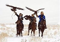 TopRq.com search results: Hunting rabbits with golden eagles, Kazakhstan