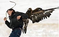 TopRq.com search results: Hunting rabbits with golden eagles, Kazakhstan