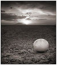 Fauna & Flora: Black and white animal photography by Nick Brandt