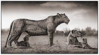 Fauna & Flora: Black and white animal photography by Nick Brandt