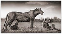 Fauna & Flora: Black and white animal photography by Nick Brandt