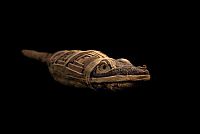 TopRq.com search results: animal mummy