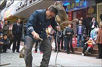 monkey, master of kung fu