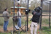 TopRq.com search results: Lion (Leo), tiger (Sher Khan) and bear (Balla) living together, Lokast Grove, state of Georgia, United States