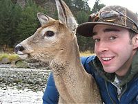 Fauna & Flora: young deer