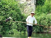 Fauna & Flora: fisherman fishing with birds