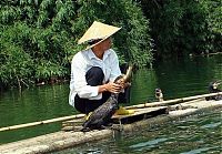 Fauna & Flora: fisherman fishing with birds