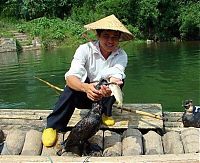 Fauna & Flora: fisherman fishing with birds