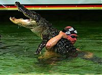 TopRq.com search results: dangerous crocodiles games