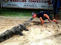 TopRq.com search results: dangerous crocodiles games