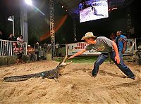 TopRq.com search results: dangerous crocodiles games