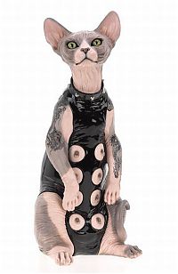 TopRq.com search results: BDSM cat
