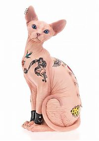 TopRq.com search results: BDSM cat