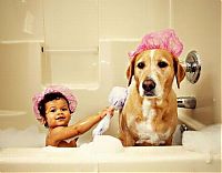 Fauna & Flora: bathing dog