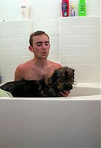 TopRq.com search results: bathing dog