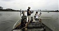 TopRq.com search results: Asian Carp attacks while fishing from the boat