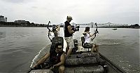 Fauna & Flora: Asian Carp attacks while fishing from the boat