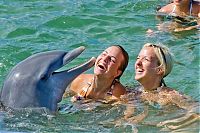 Fauna & Flora: swimming with dolphins