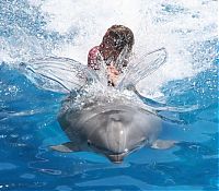 Fauna & Flora: swimming with dolphins