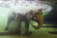 right moment pictures of animals in zoo