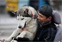Fauna & Flora: Huskies powered sleds, China