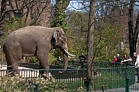 Fauna & Flora: life of animals in zoo