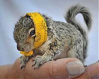 Fauna & Flora: animal photography