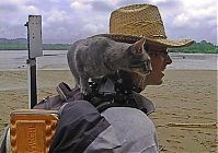 Fauna & Flora: guy traveling with a cat