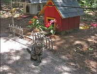 TopRq.com search results: home for homeless cats