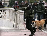 TopRq.com search results: Loukanikos, the riot dog