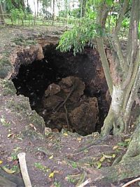 Fauna & Flora: Monfort Bat Cave, Somalia