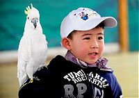 Fauna & Flora: Bird Sports Meeting, China