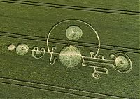 Fauna & Flora: crop circle