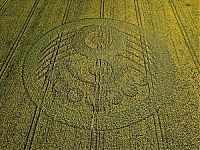 Fauna & Flora: crop circle