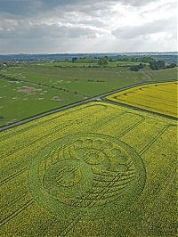 TopRq.com search results: crop circle