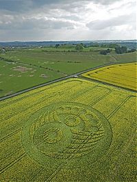 Fauna & Flora: crop circle